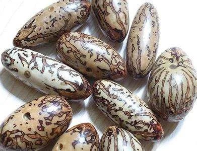 千眼菩提子打磨方法 千眼菩提有哪些优点