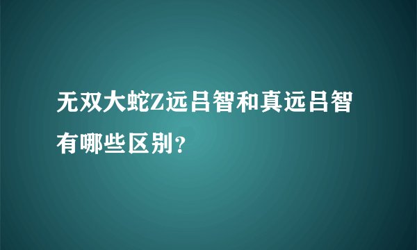 无双大蛇Z远吕智和真远吕智有哪些区别？