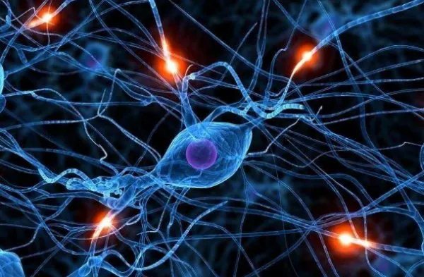 谷歌实现量子霸权，量子计算机会对人们生活有何影响？