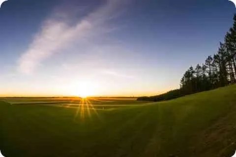 妓房动乱事件简介及详细资料