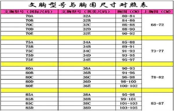 34的胸围是多大的？