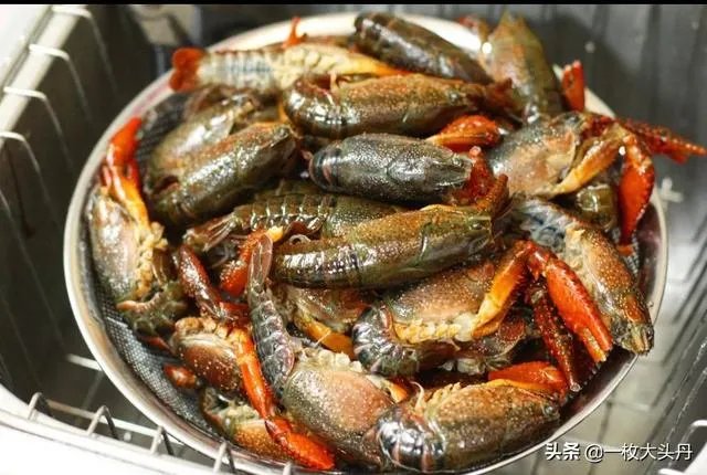 怎样才能吃到最优质的小龙虾?
