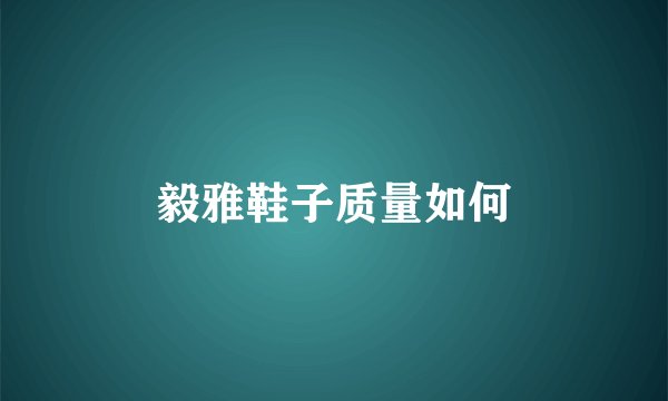 毅雅鞋子质量如何