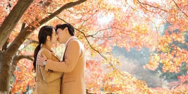 有哪些演员出演了《一千零一夜》这部影视作品?