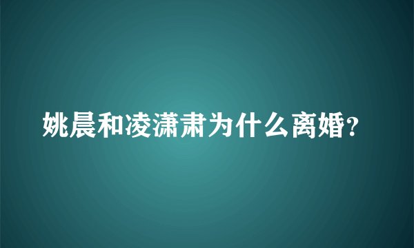 姚晨和凌潇肃为什么离婚？