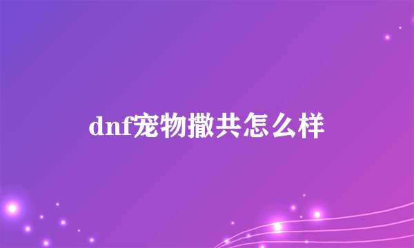 dnf宠物撒共怎么样