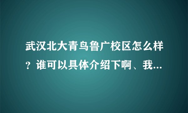 武汉北大青鸟鲁广校区怎么样？谁可以具体介绍下啊、我想去看下呢~