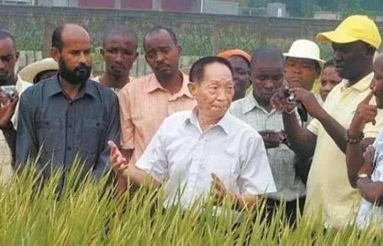 外国人怎样看待袁隆平的?