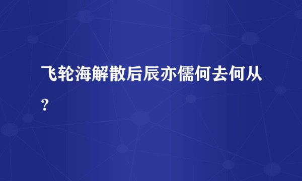 飞轮海解散后辰亦儒何去何从？