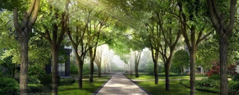 住宅小区绿化率计算公式是什么