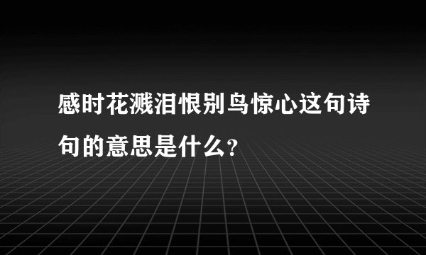 感时花溅泪恨别鸟惊心这句诗句的意思是什么？