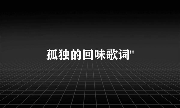 孤独的回味歌词