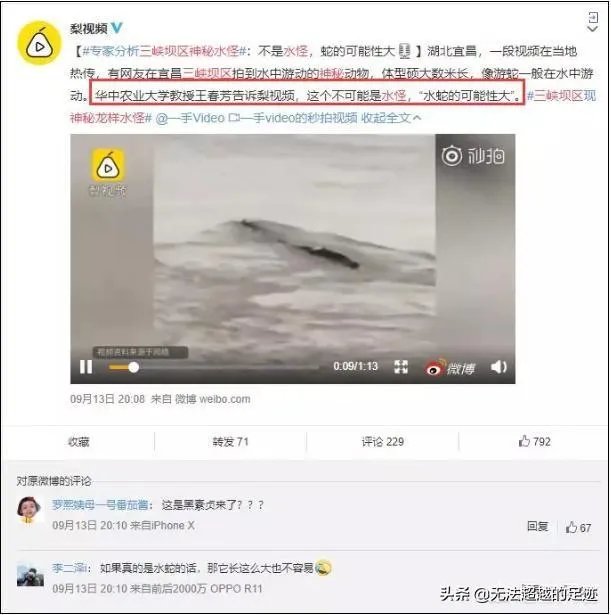 前几天出现的“三峡水怪”是什么，会是未知的生物吗？