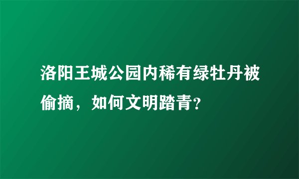 洛阳王城公园内稀有绿牡丹被偷摘，如何文明踏青？