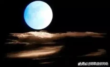 桑德斯退选意味着什么？