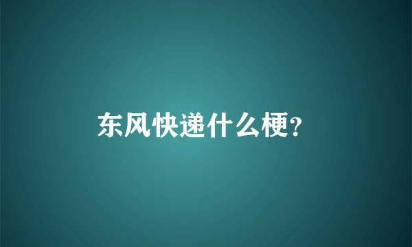 东风快递什么梗？