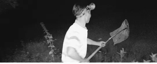 卖萤火虫年入百万是怎么回事?