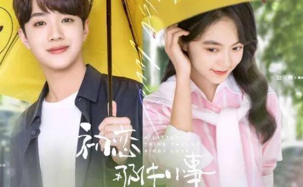 如何评价国产版的《初恋那件小事》？