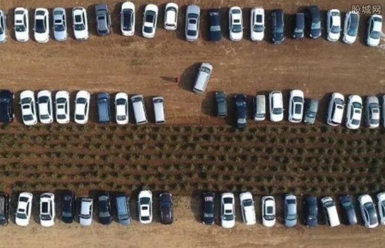 暴富 村民改麦田为临时停车场一天收入2000元