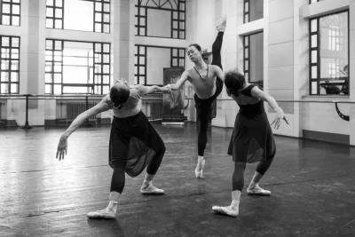 吴平的工作简历