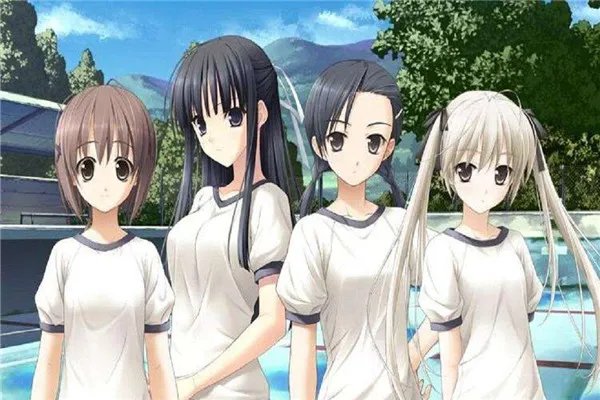 每集都开车的动漫有哪些 这些动漫都少儿不宜(禁看)