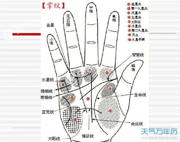 男人生命线图解 男人的十种生命线详解