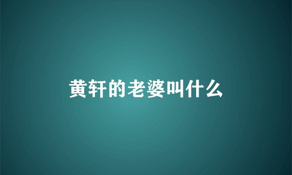 黄轩的老婆叫什么