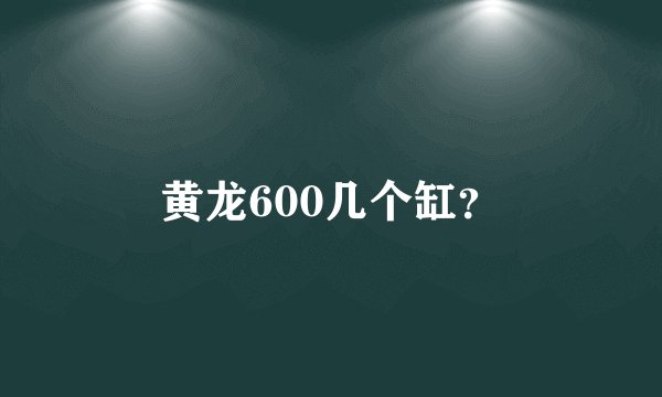 黄龙600几个缸？