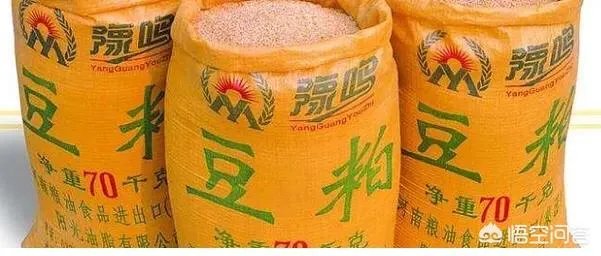 非洲猪瘟对猪价行情的影响有哪些？