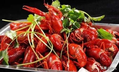 怎样才能吃到最优质的小龙虾?