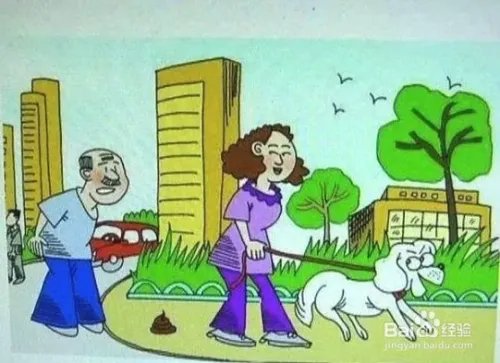 杭州狗主人被刑拘,日常遛狗需要注意什么?