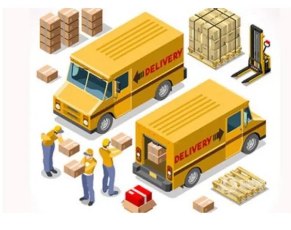 中国的物流业是什么时候发展起来的？？？