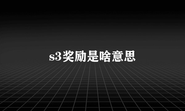 s3奖励是啥意思