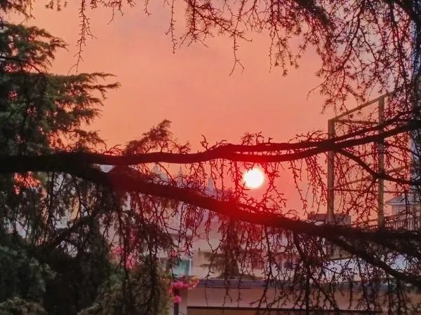 为什么有的大学生觉得疫情偷走了青春?