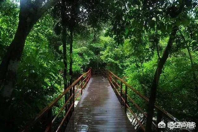 到底是南方冻雨的时候比较冷,还是北方下雪的时候比较冷？