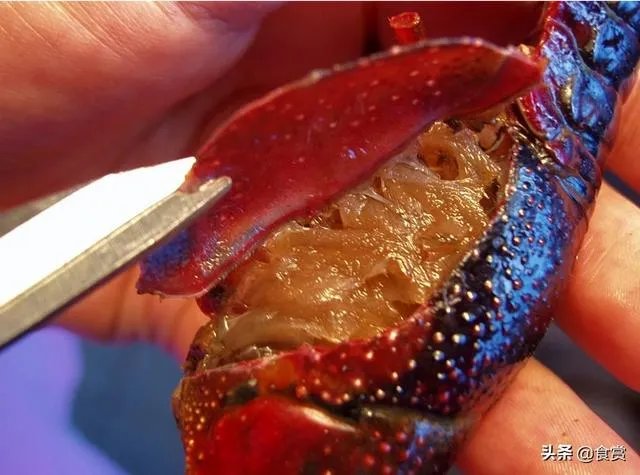 怎样才能吃到最优质的小龙虾?