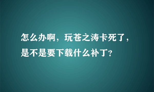 怎么办啊，玩苍之涛卡死了，是不是要下载什么补丁？