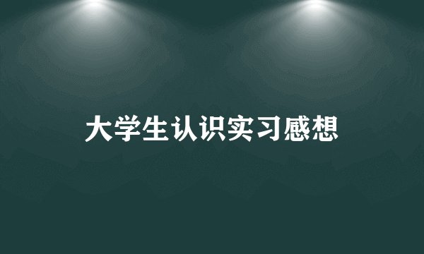 大学生认识实习感想