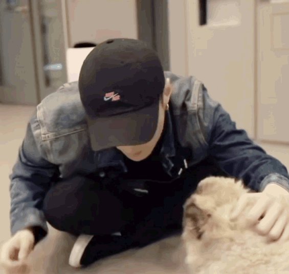 张艺兴倒立训狗:这画面怪不得都在羡慕狗狗了