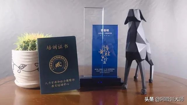 训狗师这个工作怎么样？