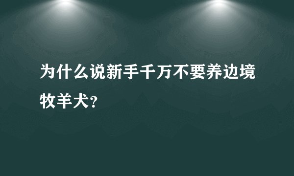 为什么说新手千万不要养边境牧羊犬？
