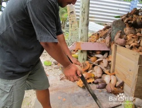 图瓦卢旅游攻略