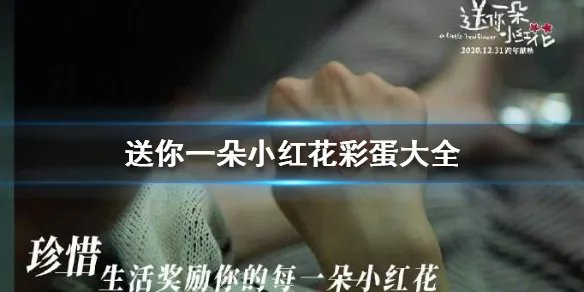 送你一朵小红花彩蛋有哪些 送你一朵小红花彩蛋大全