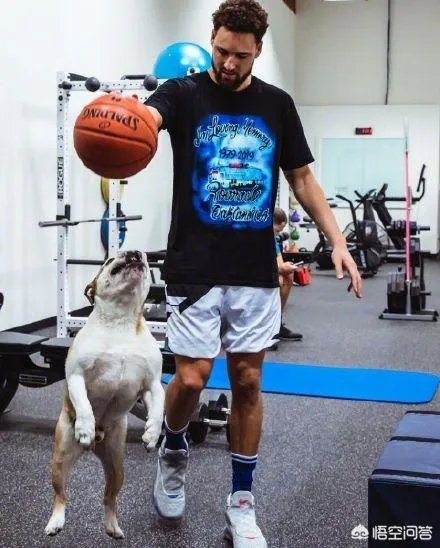 库里和克莱的伤势都怎么样了，什么时候可以打比赛？