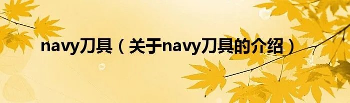navy刀具（关于navy刀具的介绍）