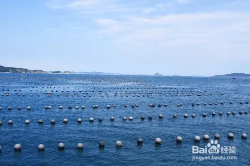 如何投资海产品养殖