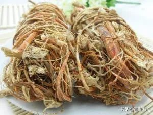 适合南方种植的懒人药材有哪些？