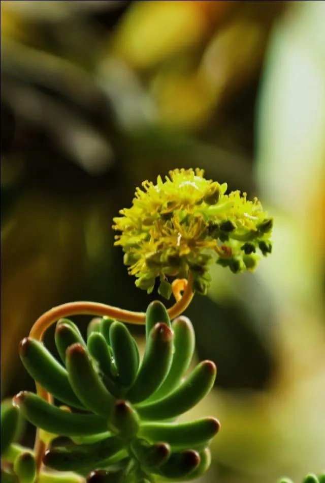 摄影是艺术吗？