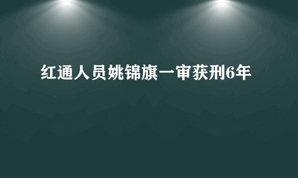 红通人员姚锦旗一审获刑6年