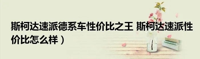 斯柯达速派德系车性价比之王 斯柯达速派性价比怎么样）